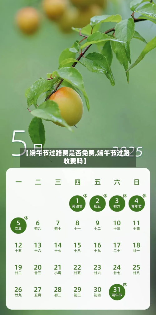 【端午节过路费是否免费,端午节过路收费吗】-第2张图片