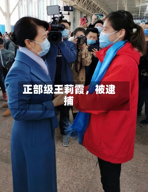 正部级王莉霞	，被逮捕-第2张图片