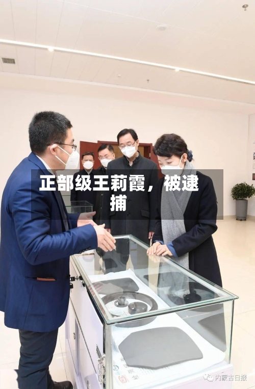 正部级王莉霞，被逮捕-第3张图片
