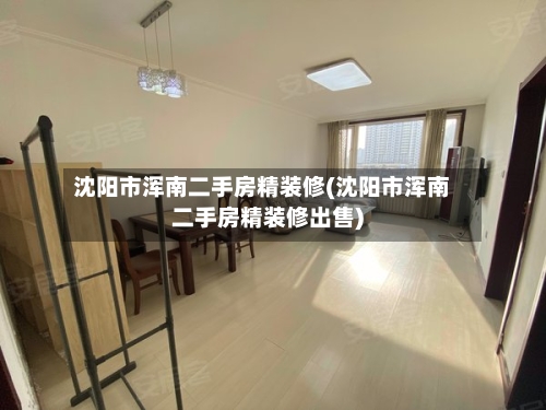 沈阳市浑南二手房精装修(沈阳市浑南二手房精装修出售)