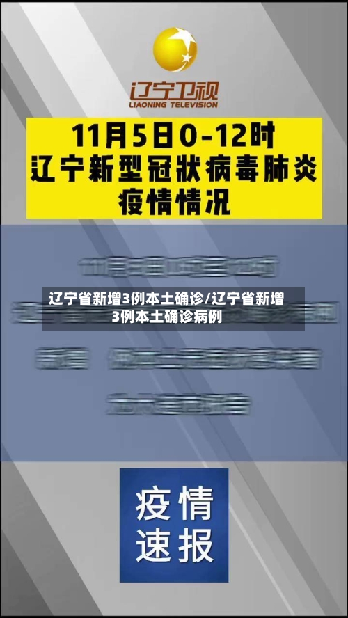 辽宁省新增3例本土确诊/辽宁省新增3例本土确诊病例-第2张图片