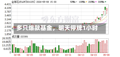 多只爆款基金，明天停牌1小时-第2张图片