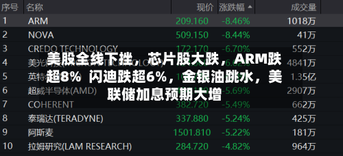 美股全线下挫，芯片股大跌	，ARM跌超8%  闪迪跌超6%，金银油跳水，美联储加息预期大增-第3张图片