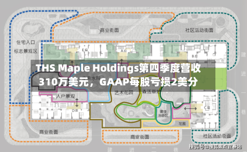 THS Maple Holdings第四季度营收310万美元，GAAP每股亏损2美分-第3张图片