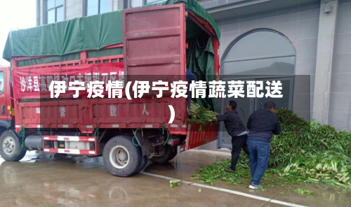 伊宁疫情(伊宁疫情蔬菜配送)-第3张图片