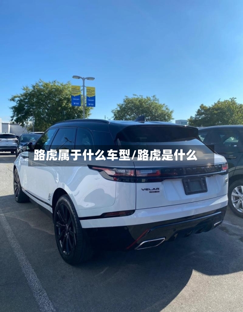 路虎属于什么车型/路虎是什么-第3张图片