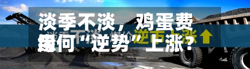 淡季不淡，鸡蛋费用缘何“逆势”上涨？-第3张图片