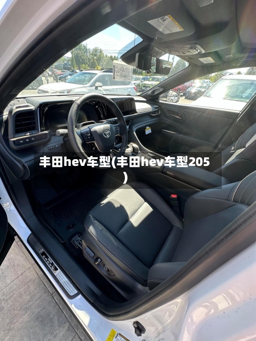 丰田hev车型(丰田hev车型205)-第2张图片