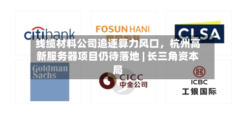 线缆材料公司追逐算力风口，杭州高新服务器项目仍待落地 | 长三角资本局-第2张图片