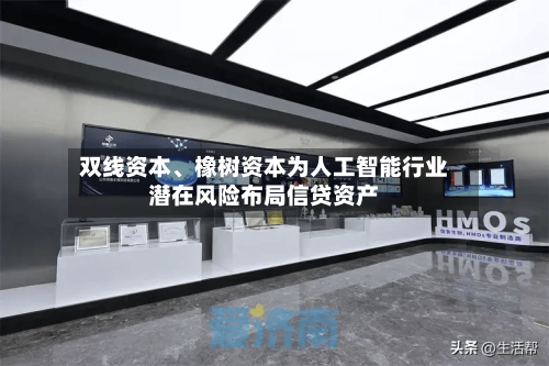 双线资本、橡树资本为人工智能行业潜在风险布局信贷资产-第2张图片