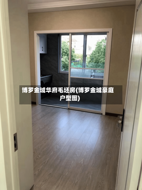 博罗金域华府毛坯房(博罗金域豪庭户型图)-第2张图片