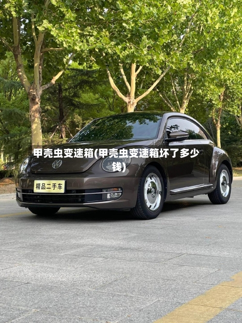 甲壳虫变速箱(甲壳虫变速箱坏了多少钱)-第3张图片