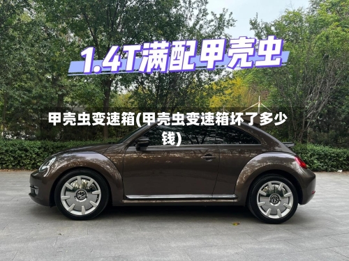 甲壳虫变速箱(甲壳虫变速箱坏了多少钱)