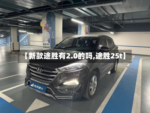 【新款途胜有2.0的吗,途胜25t】-第2张图片