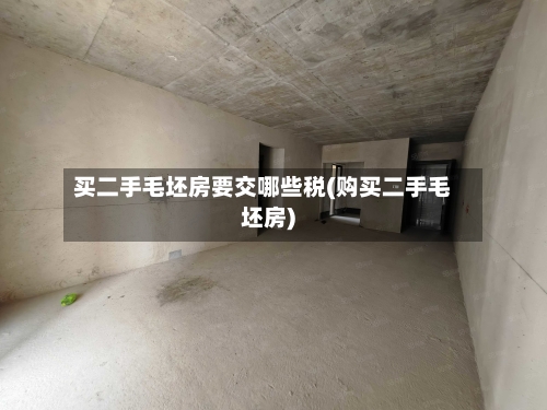 买二手毛坯房要交哪些税(购买二手毛坯房)