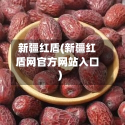 新疆红盾(新疆红盾网官方网站入口)-第3张图片