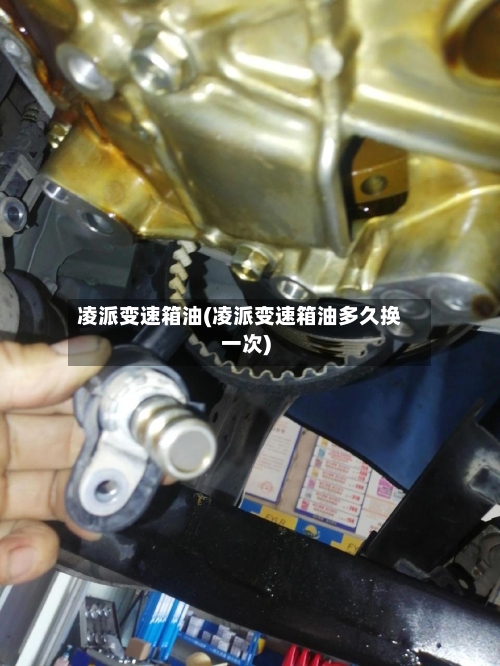 凌派变速箱油(凌派变速箱油多久换一次)